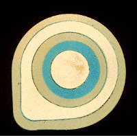 Silicon integrated circuit