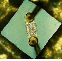 Fairchild NPN transistor